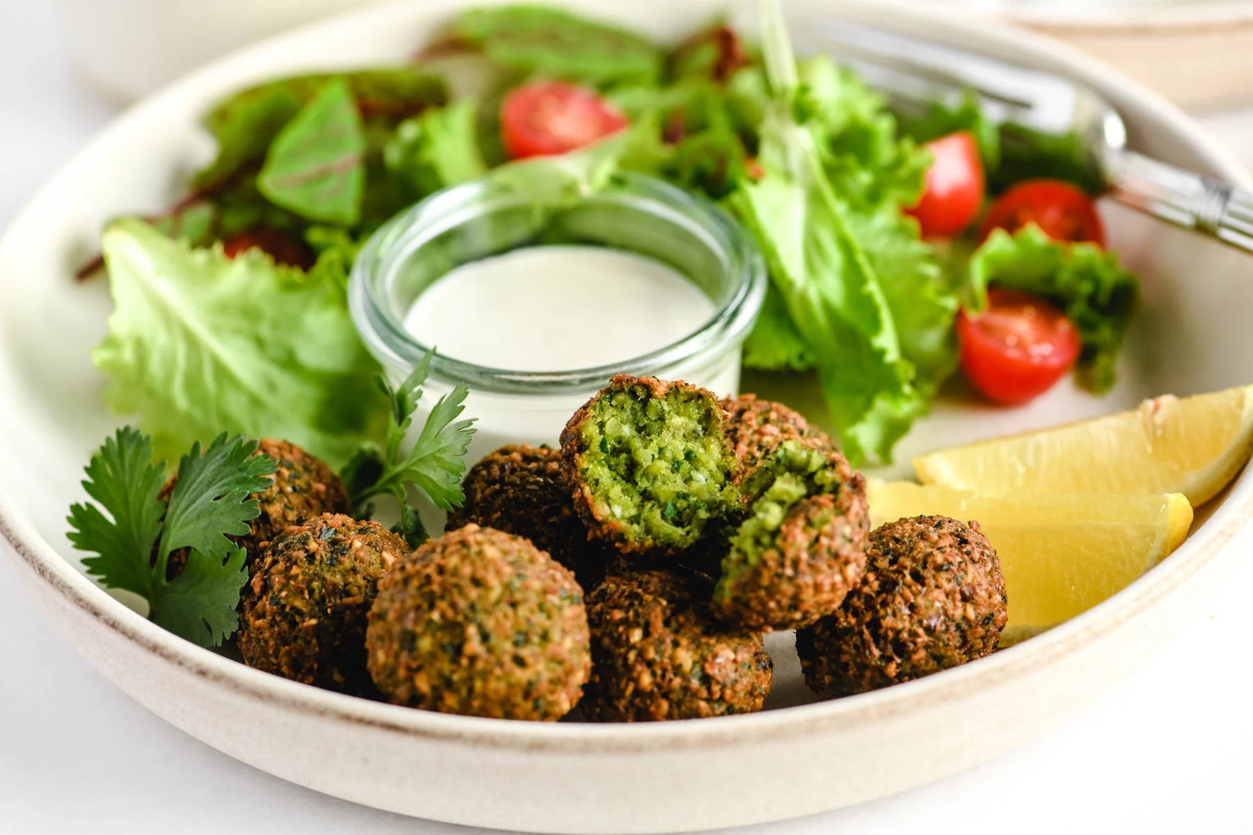Fresh Falafel Mix – Personal Size (Vacuum-Sealed)