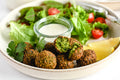 Fresh Falafel Mix – Personal Size (Vacuum-Sealed)